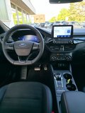Daumennagel 14 - Ford Kuga Plug-In Hybrid ST-Line X/ST-Styling-Paket/LED