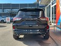 Daumennagel 7 - Ford Kuga Plug-In Hybrid ST-Line X /ACC/LED