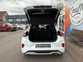 Daumennagel 7 - Ford Puma Hybrid ST-Line X /LED/DSG/Key-Free