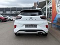 Daumennagel 6 - Ford Puma Hybrid ST-Line X /LED/DSG/Key-Free