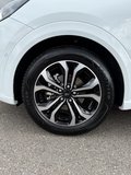 Daumennagel 16 - Ford Puma Hybrid ST-Line X /LED/DSG/Key-Free
