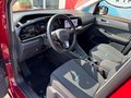 Daumennagel 4 - Ford Grand Tourneo Connect Active/Pano/LED/7.Sitze