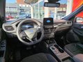Daumennagel 19 - Ford Kuga Hybrid FHEV Graphite Tech Edition Head-Up-Display/LED/ACC