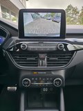 Daumennagel 15 - Ford Kuga Plug-In Hybrid ST-Line X/AHK schwenkbar/Pano/LED