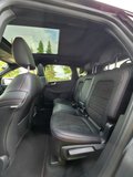 Daumennagel 12 - Ford Kuga Plug-In Hybrid ST-Line X/AHK schwenkbar/Pano/LED