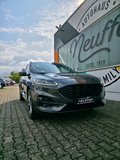 Daumennagel 3 - Ford Kuga Plug-In Hybrid ST-Line X/AHK schwenkbar/Pano/LED