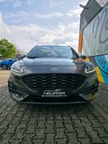 Daumennagel 4 - Ford Kuga Plug-In Hybrid ST-Line X/AHK schwenkbar/Pano/LED