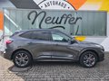 Daumennagel 5 - Ford Kuga Plug-In Hybrid ST-Line X/AHK schwenkbar/Pano/LED