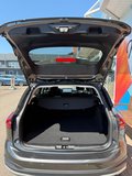 Daumennagel 8 - Ford Focus Active X Turnier, ACC, Toter-Winkel, SYNC 4  X