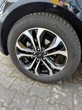 Daumennagel 17 - Ford Puma ST-Line X