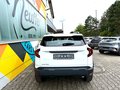 Daumennagel 8 - Dacia Duster III ECO-G 100 Essential/Benzin/LPG sofort