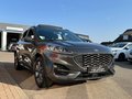 Daumennagel 3 - Ford Kuga Plug-In Hybrid ST-Line /LED/Panoschiebedach