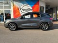 Daumennagel 4 - Ford Kuga Plug-In Hybrid ST-Line /LED/Panoschiebedach
