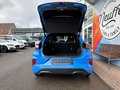 Daumennagel 6 - Ford Puma ST X MHEV/ACC/NitroBlue/LED/Heckklappe elektr.