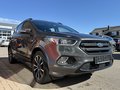 Daumennagel 3 - Ford Kuga ST-Line/Panoschiebedach/Rfkamera/8-Fach