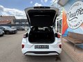 Daumennagel 7 - Ford Puma Hybrid ST-Line X/ACC/Key-Free/Induktion