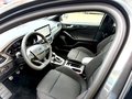 Daumennagel 11 - Ford Focus Turnier ST-Line/LED/Pano Dach/Styling Paket
