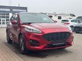 Daumennagel 3 - Ford Kuga ST-Line X/Panoschiebedach/Styling-Paket