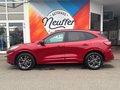 Daumennagel 4 - Ford Kuga ST-Line X/Panoschiebedach/Styling-Paket