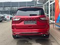 Daumennagel 6 - Ford Kuga ST-Line X/Panoschiebedach/Styling-Paket