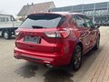 Daumennagel 8 - Ford Kuga ST-Line X/Panoschiebedach/Styling-Paket