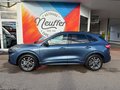 Daumennagel 2 - Ford Kuga ST-Line X /Head-Up/ACC/Bang&Olufsen