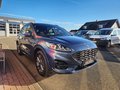 Daumennagel 7 - Ford Kuga ST-Line X /Head-Up/ACC/Bang&Olufsen