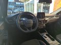 Daumennagel 11 - Ford Kuga ST-Line X /Head-Up/ACC/Bang&Olufsen