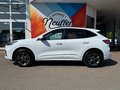 Daumennagel 4 - Ford Kuga Plug-In Hybrid ST-Line X/LED/ACC
