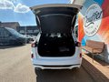 Daumennagel 7 - Ford Kuga Plug-In Hybrid ST-Line X/LED/ACC