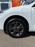 Daumennagel 12 - Ford Kuga Plug-In Hybrid ST-Line X/LED/ACC