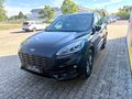 Daumennagel 4 - Ford Kuga Hybrid ST-Line X/Allrad/Garantie 07.28/ACC