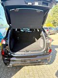 Daumennagel 9 - Ford Kuga Hybrid ST-Line X/Allrad/Garantie 07.28/ACC