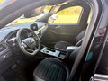 Daumennagel 14 - Ford Kuga Hybrid ST-Line X/Allrad/Garantie 07.28/ACC