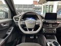 Daumennagel 13 - Ford Kuga Plug-In Hybrid ST-Line X/Styling-Paket/ACC