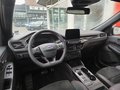 Daumennagel 18 - Ford Kuga Plug-In Hybrid ST-Line X/LED/ACC/AHK schwenkbar