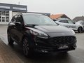 Daumennagel 2 - Ford Kuga Plug-In Hybrid ST-Line X/LED/ACC/AHK schwenkbar