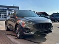 Daumennagel 3 - Ford Kuga Plug-In Hybrid ST-Line X/AHK abnehmbar/ACC