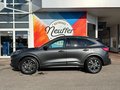 Daumennagel 4 - Ford Kuga Plug-In Hybrid ST-Line X/AHK abnehmbar/ACC