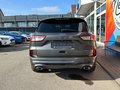 Daumennagel 6 - Ford Kuga Plug-In Hybrid ST-Line X/AHK abnehmbar/ACC