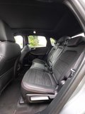 Daumennagel 11 - Ford Kuga Plug-In Hybrid ST-Line X/Pano/Styling-Paket/19 Zoll