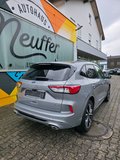 Daumennagel 9 - Ford Kuga Plug-In Hybrid ST-Line X/Pano/Styling-Paket/19 Zoll