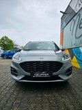 Daumennagel 3 - Ford Kuga Plug-In Hybrid ST-Line X/Pano/Styling-Paket/19 Zoll