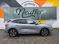 Daumennagel 5 - Ford Kuga Plug-In Hybrid ST-Line X/Pano/Styling-Paket/19 Zoll