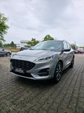Daumennagel 4 - Ford Kuga Plug-In Hybrid ST-Line X/Pano/Styling-Paket/19 Zoll