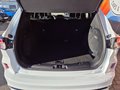 Daumennagel 9 - Ford Kuga ST-Line X /LED/B&O/NAVI/RFK