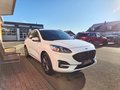 Daumennagel 2 - Ford Kuga ST-Line X /LED/B&O/NAVI/RFK