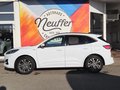 Daumennagel 6 - Ford Kuga ST-Line X /LED/B&O/NAVI/RFK