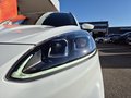 Daumennagel 4 - Ford Kuga ST-Line X /LED/B&O/NAVI/RFK