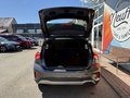 Daumennagel 7 - Ford Focus Active/AHK abnehmbar/Navi/Allwetterreifen